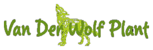 Home 13 logo-vandenwolf-c
